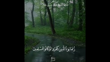 اروع تلاوة بصوت الشيخ الحافظ  محمد حسين عامر /حالات وتس اب دينية🌸