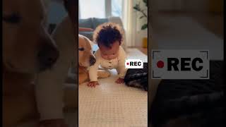 Baby Joins With Dog And Cat Cute Funny Baby & Animals Adorable Moment