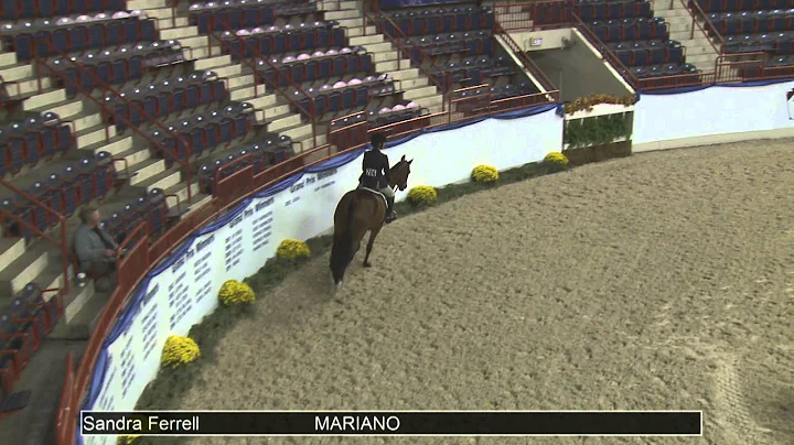 786 MARIANO Sandra Ferrell, Class 93 Green Conform...