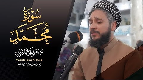 سورة محمد كامل للقارئ مصطفی فاروق الكردي