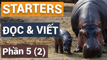 Bài 7 - Đọc và Viết - Phần 5 (2) | Trả lời câu hỏi nâng cao | Which animal is drinking? | Starters