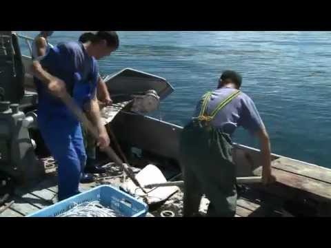 Мокту фар рыболовство