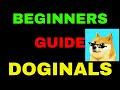 How to buy doginals  drc20s step by step guide