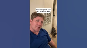 How to Speak Cat: Lesson 9