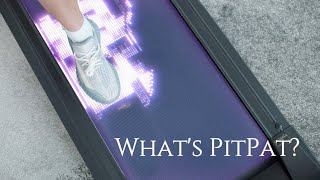 What's PitPat?