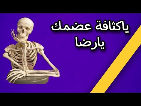 ازاي ازيد حجم عضمي د محمد عبدالله