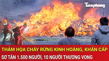 Thảm họa cháy rừng kinh hoàng, khẩn cấp sơ tán 1.500 người, 10 người thương vong