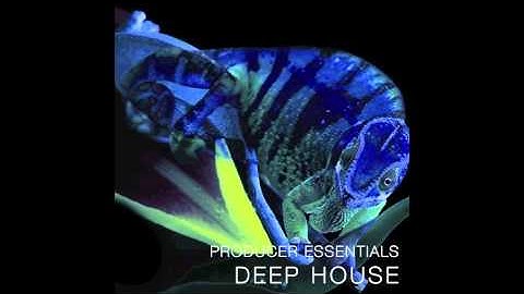 Producer Essentials Deep House