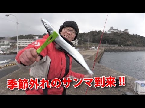 平戸 白浜港にてサンマ釣り つり具のまるきん釣り情報 Youtube