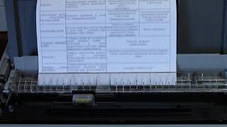 Epson FX-2190 таблица А3 120 на 72