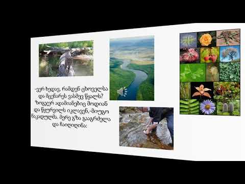 ხე და მისი ბინადრები