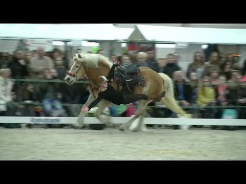 Robin Legdeur op Equiday 2015 - promo Equiday 2018