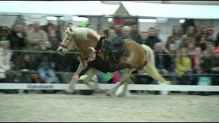 Robin Legdeur op Equiday 2015 - promo Equiday 2018