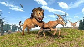Lion vs Gazelle 🦁🔥 | Ultimate Hunting & Survival Challenge | Wildlife Game screenshot 5