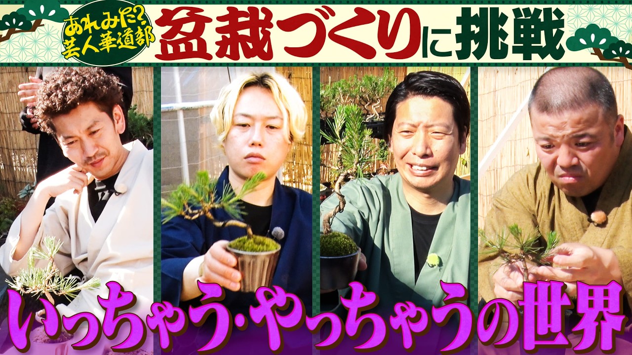 【あれみた？芸人華道部】個性爆発！世界で一つだけの盆栽づくり《ラストにトキがブチギレ⁉》