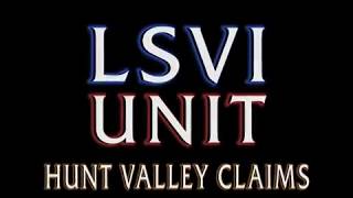 LSVI unit