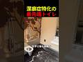 世界で最も綺麗なトイレ