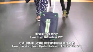 [Kyoto IVY] How to go to Fushimi IVY 如何去伏見IVY