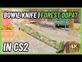 ★ CS2 Bowie Knife Forest DDPAT | CS2 Knife In-Game Showcase [4K]