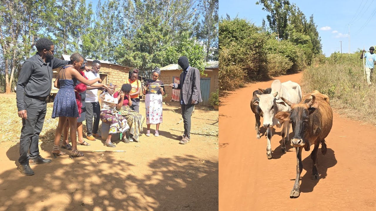 Daktari kiboko wa motoo🤣Ona vile sophy aisha nguvu na kussurrender ng'ombe daktari oyeeee😀😅