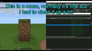 Minecraft Bedrock Edition 1.16.221 All About LocalPlayer With Cheat Engine