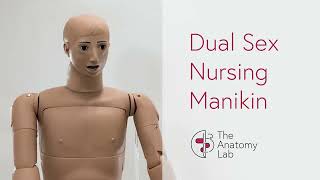 Product Spotlight Anatomy Lab Basic Dual Sex Nursing Manikin