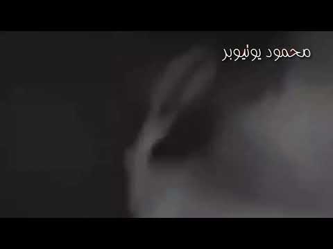 شاهد ماذا قال الاب زوج الام التي رمت اطفالها في نهر دجلة امراة ترمي اطفالها في نهر دجلة