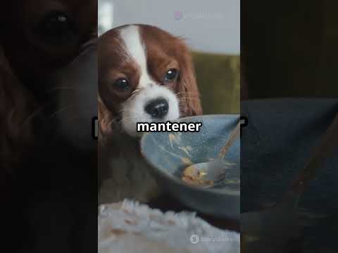 5 Tips Rápidos