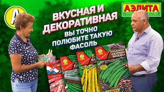 РАЗНОВИДНОСТИ ФАСОЛИ. Рассказываем, как ПРАВИЛЬНО выращивать фасоль