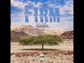 Firm Riddim