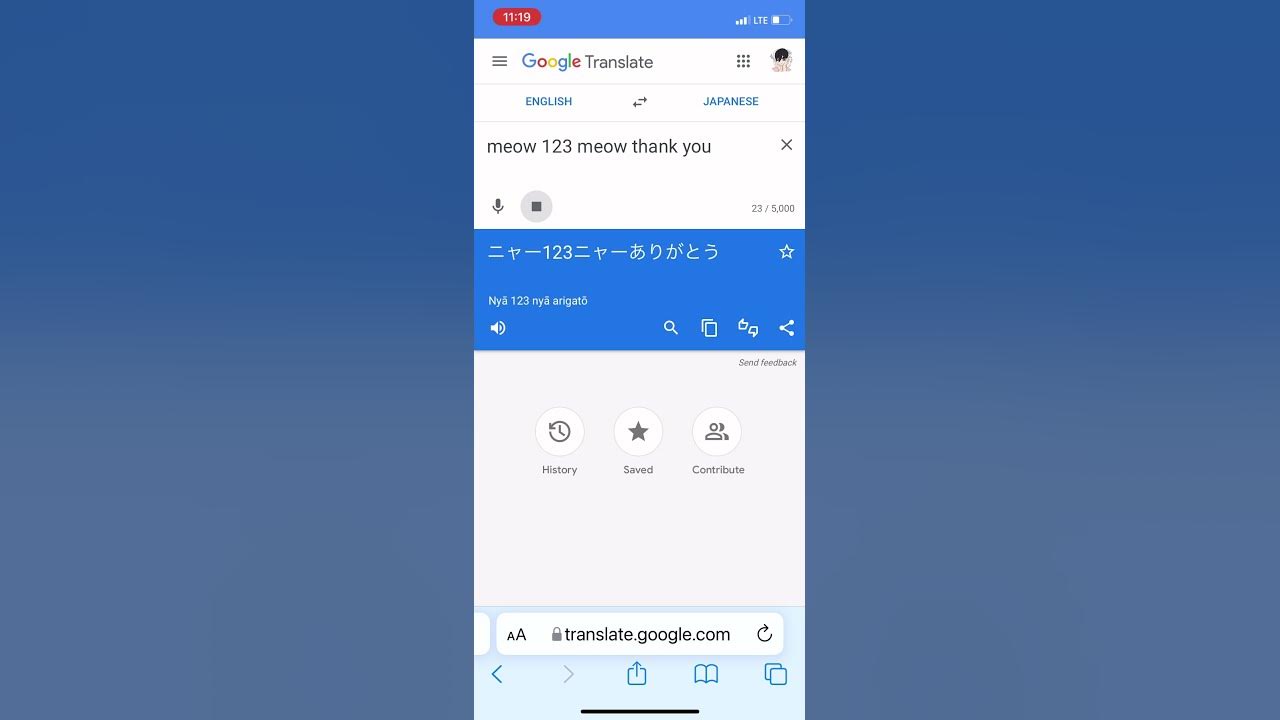 Meow 1 2 3 Meow Thank You English Japanese Google Translate YouTube meow-1-2-3-meow-thank-you-english-japanese-google-translate-youtube