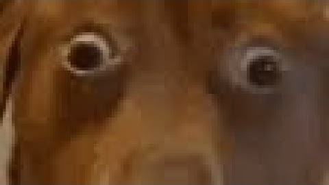 QU3SO New Intro (WIP)