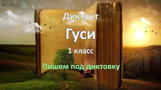 Диктант по русскому языку за 1 класс, Гуси