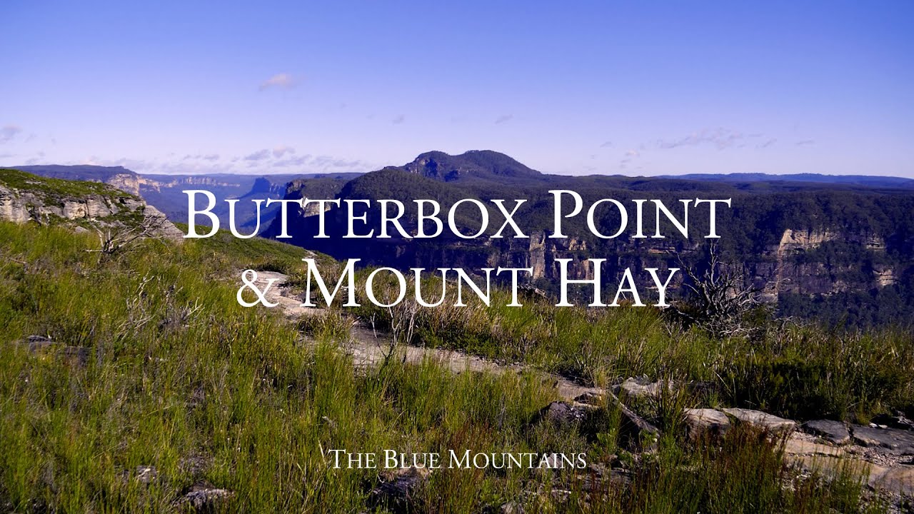 BUTTERBOX POINT & MOUNT HAY - Hiking In The Blue Mountains