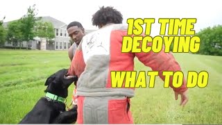 Teaching First Time Decoy Some Basics