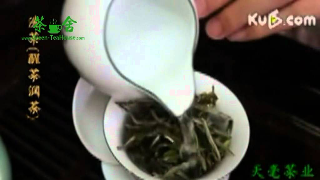how to brew white peony tea,and health benefits of white peony YouTube