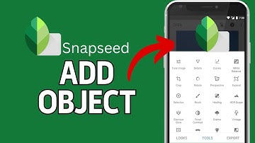 How to Add Object in Snapseed 2024?