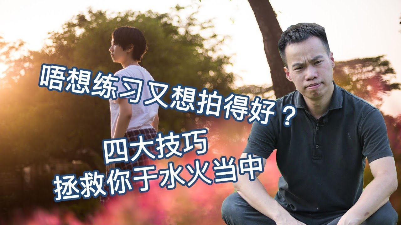 一部全面的作品概述