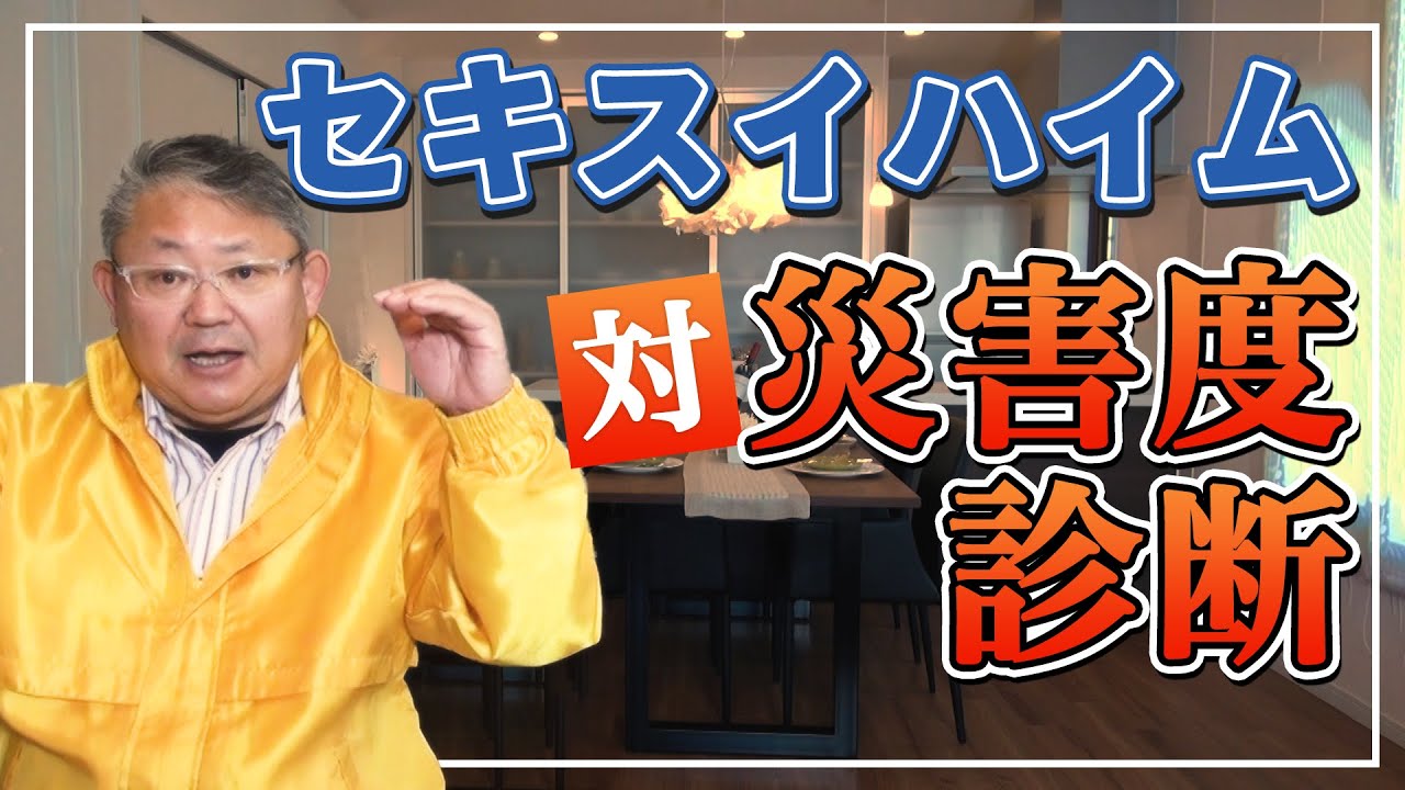 セキスイハイム 住宅メーカーの対災害度診断 2 徹底検証 Youtube