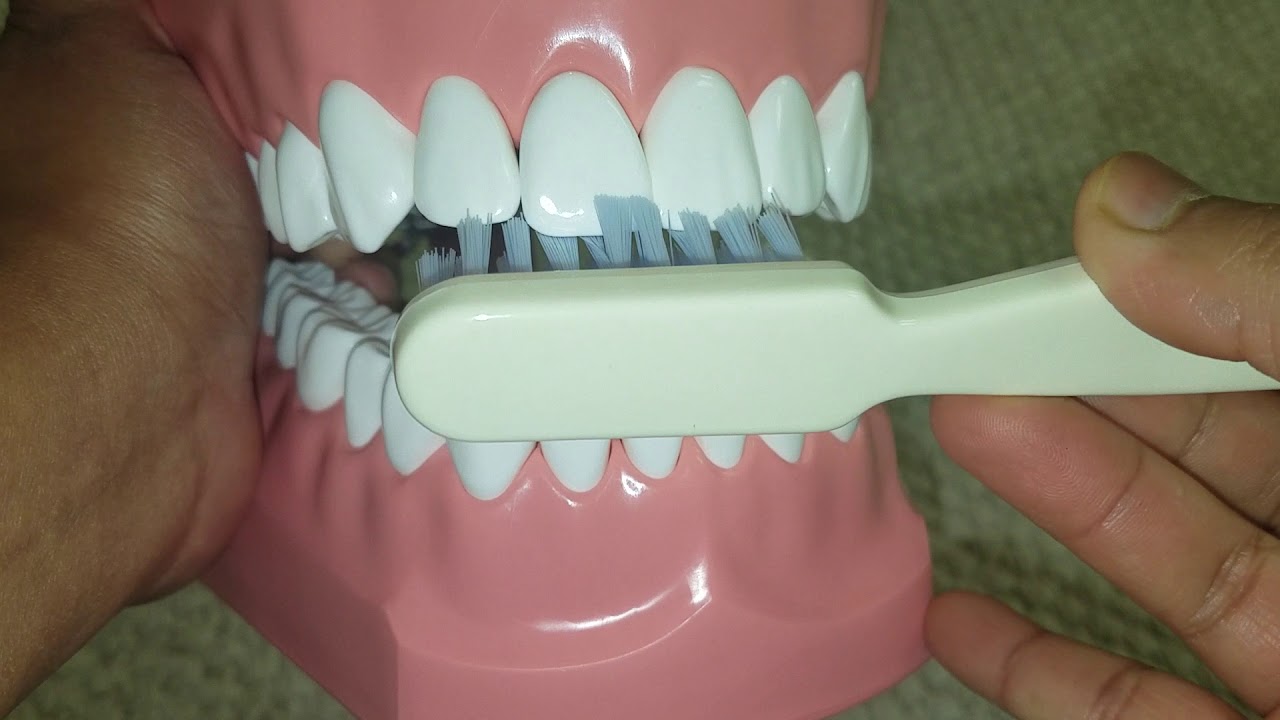 Modified Stillman Brushing Technique YouTube