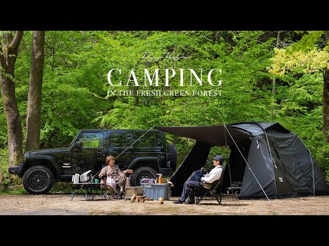 CAMPING in the fresh Green Forest // Shiga Japan