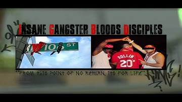 [net4game.com] Insane Gangster Bloods Disciples #1