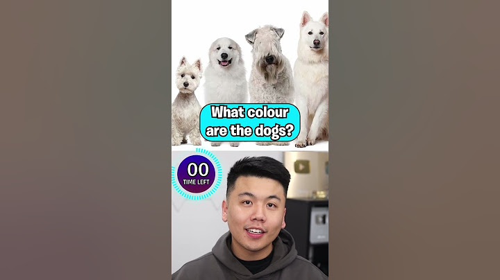 Test Idioty
