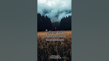 #قرآن #quran #تلاوات #hajj #يوم_عرفة #shortvideo #ستوريات_قرآن #ramadan #تراويح #foryou #اكسبلور