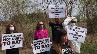 PETA protests outside JBS meat packaging facility as COVID-19 cases climb at the plant