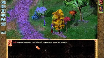 Edwin: A Deep and Complex Character (Baldur