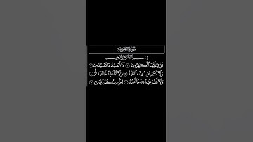 سورة الكافرون كاملة بصوت سعد الغامدي