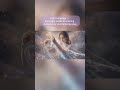 Light Language ✨ Pure Light Codes for Healing, Activation & Soul Remembrance #lightlanguage #shorts