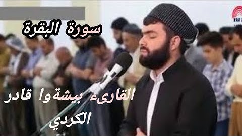 سورة البقرة كاملة القارىء بيشةوا قادر الكردي بدون إعلانات #سورة_البقرة