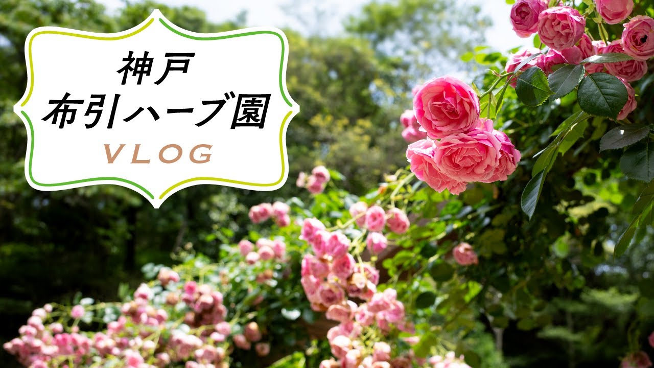 神戸市の花 あじさいの名所まとめ 神戸と近郊エリアで紫陽花が見事な場所 神戸ファインダー